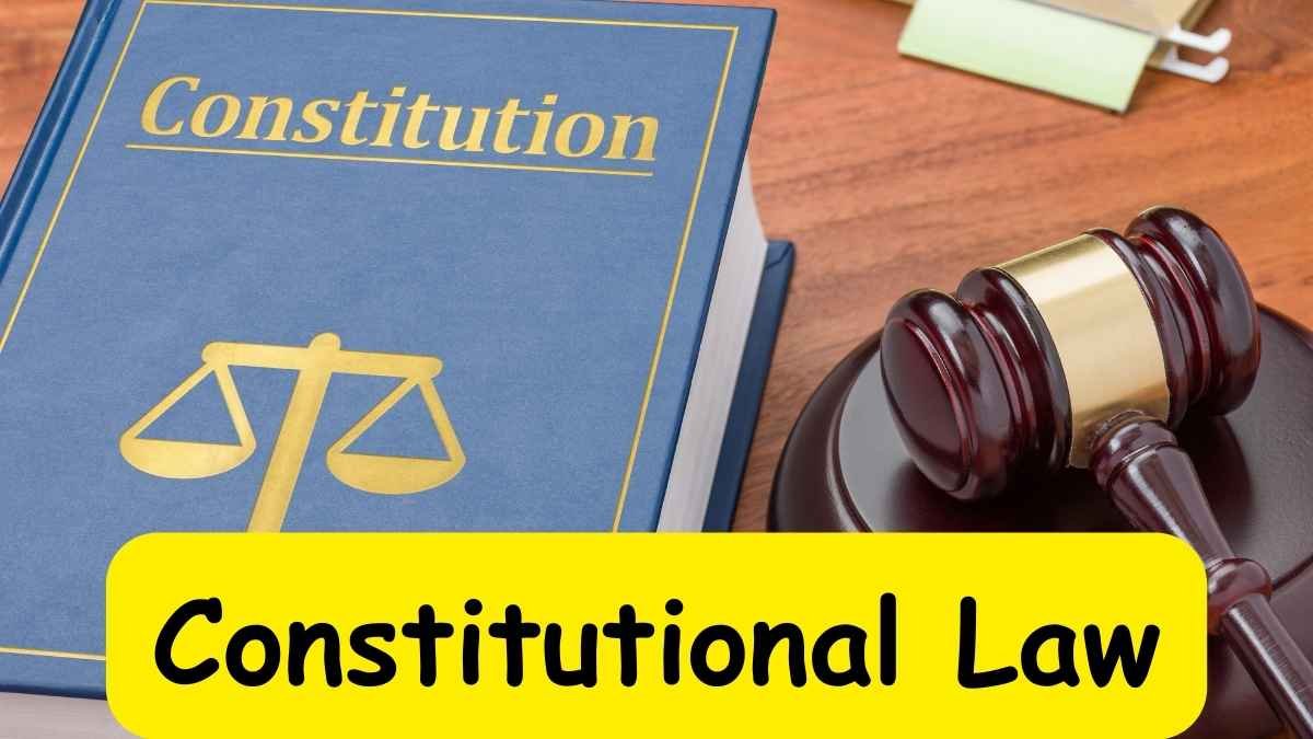 Are constitutional issues questions of law