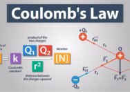 How to add forces using coulomb's law