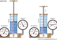 What remain constant in boyle's law