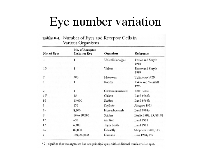 What number law is eye for an eye