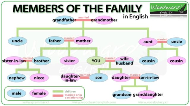 What is the sister of your son in law called