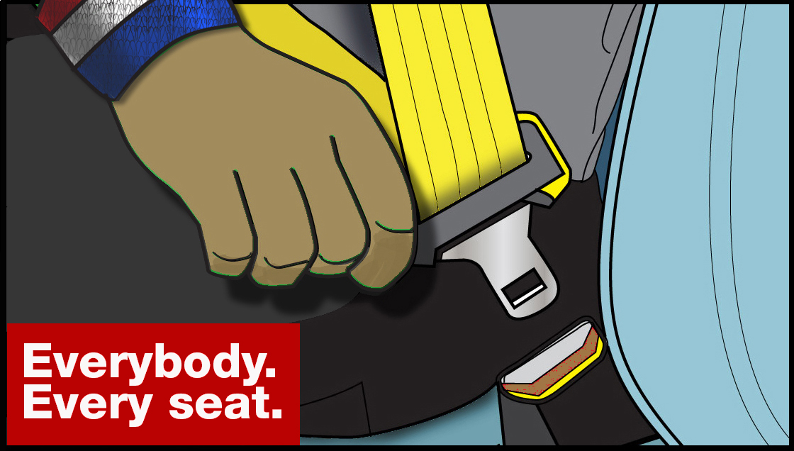 Why is a seat belt law constitutional