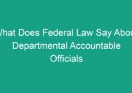 What does federal law say about departmental accountable officials